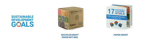Recycled paper Kraft Box and paper insert